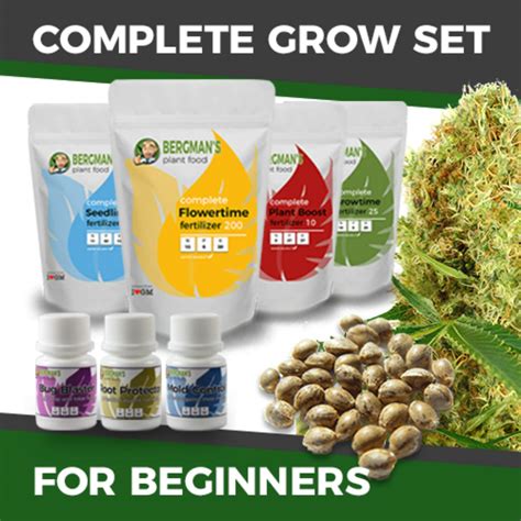 ilovegrowingmarijuana com|How To Grow Marijuana .